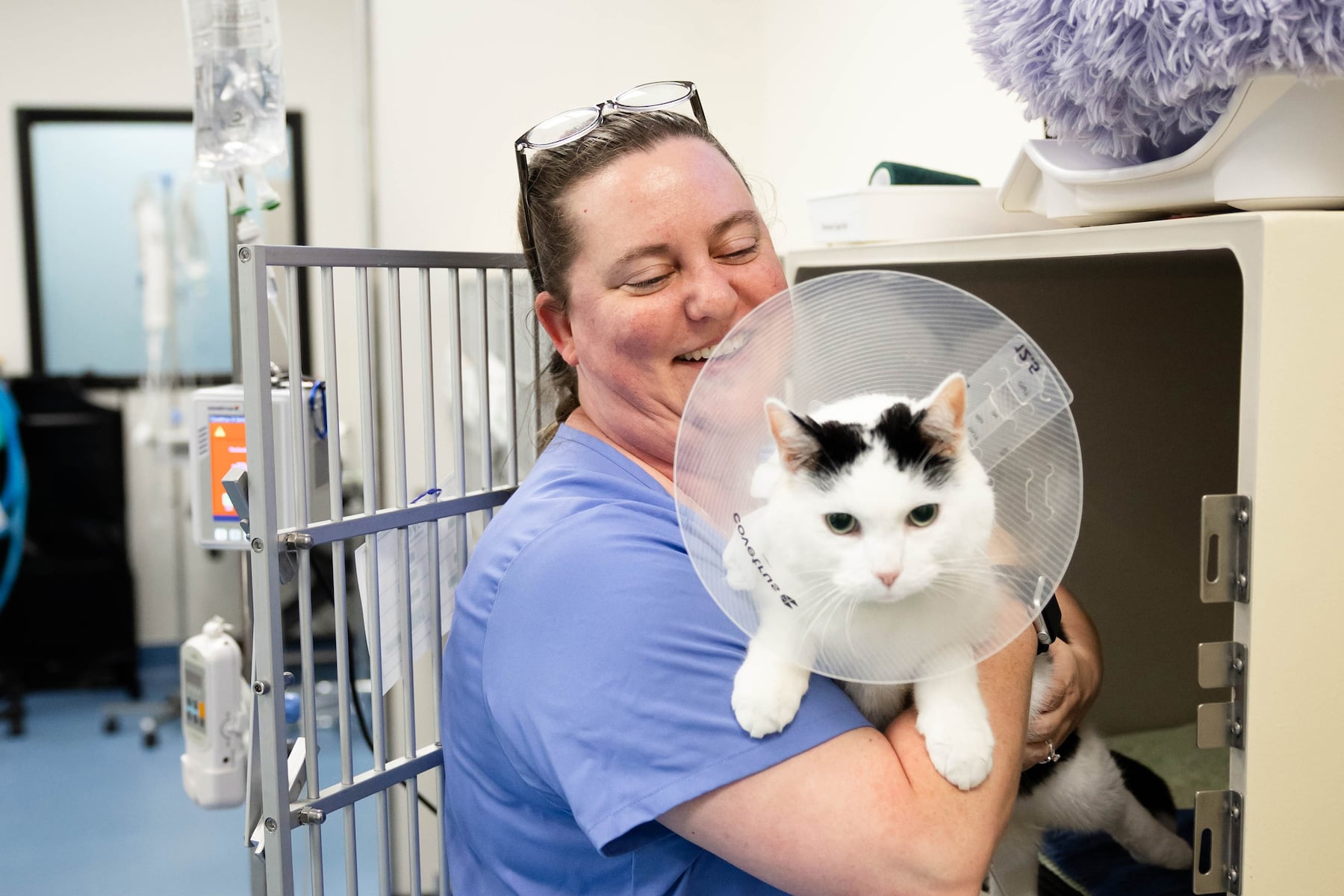 Lovet Pet Health Care Expands with Fourth Clinic in Grand Rapids