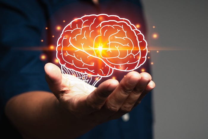 Researchers Identify Five Stages of Brain Development and Aging