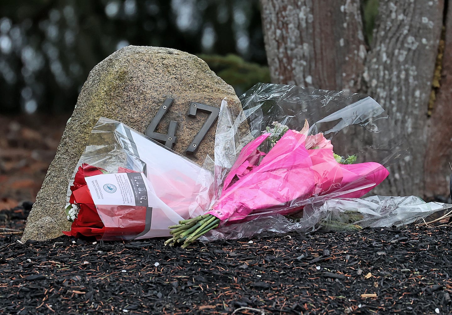 Advocates Call for Urgent Reform in Perinatal Mental Health Care