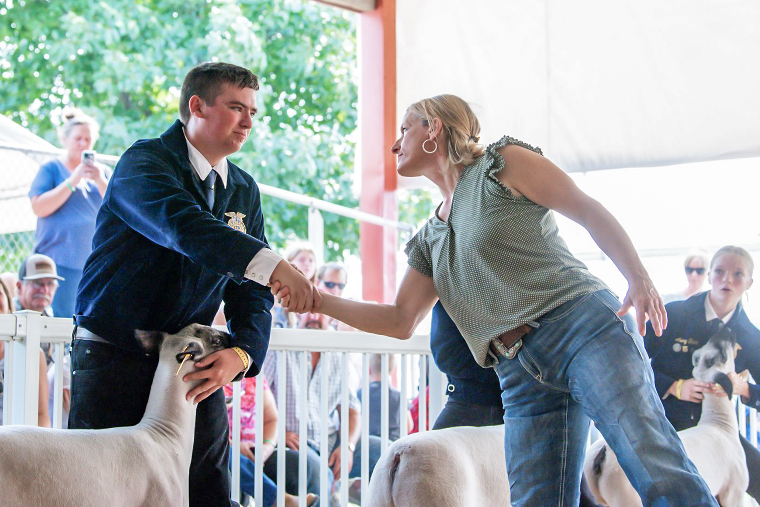 Colfax FFA Shines at Nationals, Sets Stage for Future Leaders