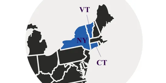 Court Remands DMCA Case, Examines Safe Harbor Protections