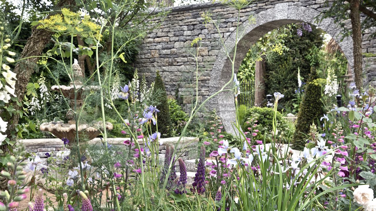 Transform Your Garden with Seven Enchanting Perennials